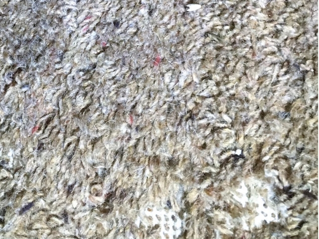 Moth Damage Carpet