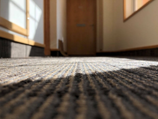 Commercial carpet cleaning in Livingston