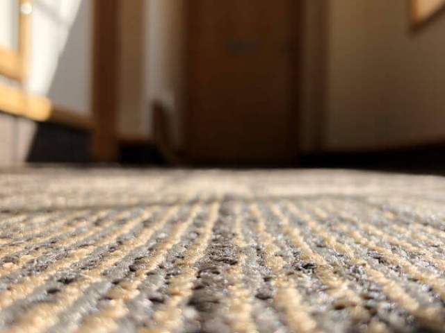 Commercial carpet cleaning in Livingston