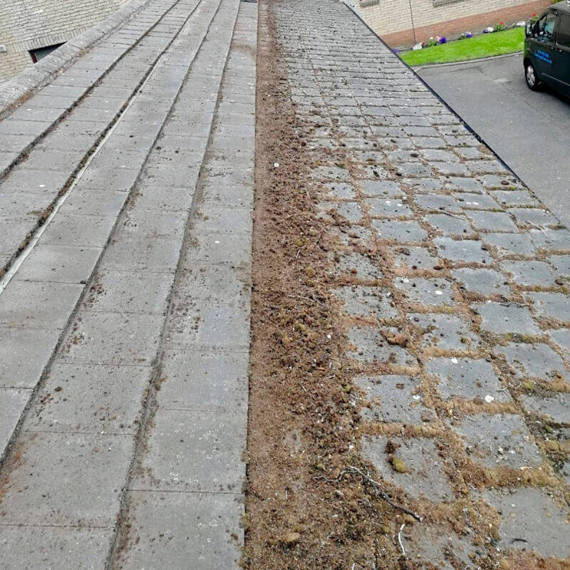 Moss Removed from the Roof