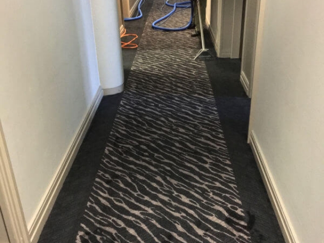 Carpet cleaning by Edinburgh Clean