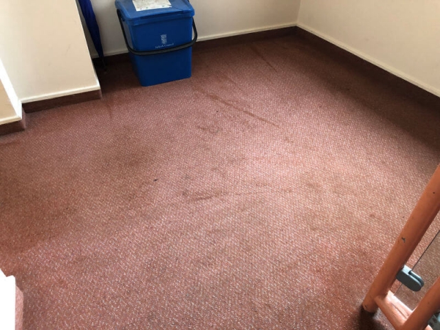 Carpet cleaning by Edinburgh Clean