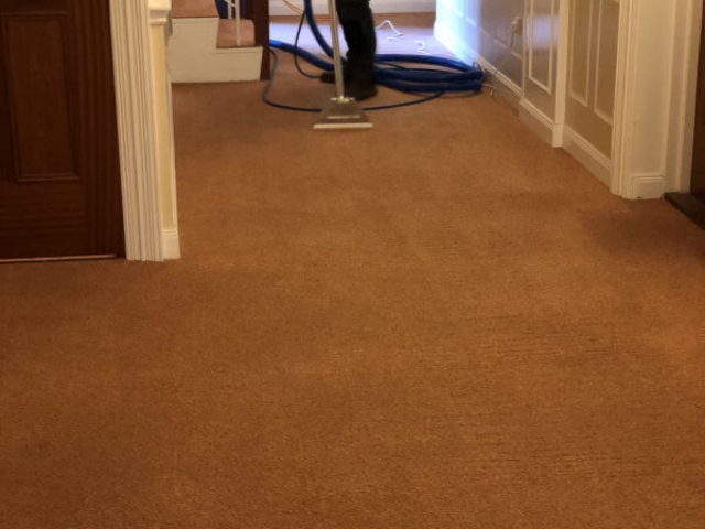 Communal carpet cleaning by Edinburgh Clean