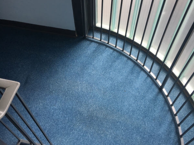 Communal stair carpet after being cleaned