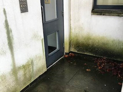 Algae Removal by Edinburgh Clean