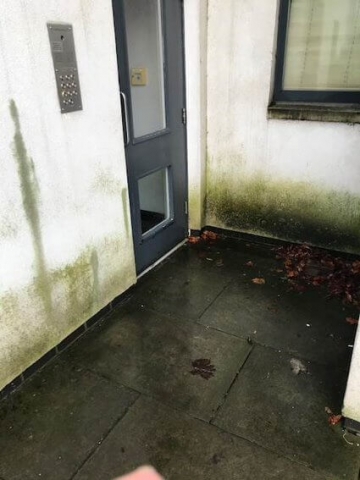 Before - Algae Removal by Edinburgh Clean